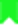Polecane